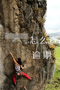 怎么查出信用卡的逾期記錄，如何查詢信用卡逾期記錄？